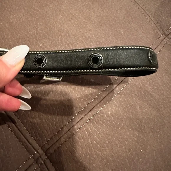 Coach collar - Picture 2 of 4